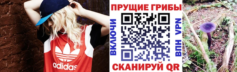 Галлюциногенные грибы мицелий  как найти закладки  Надым 